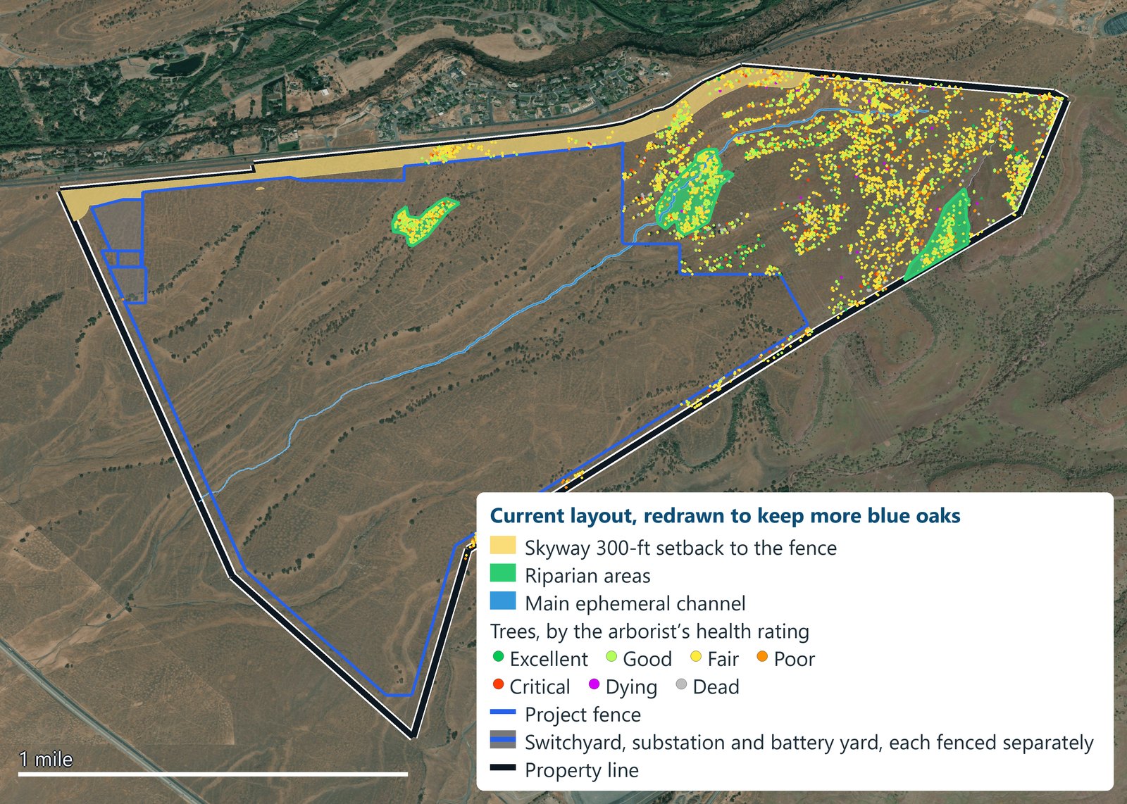 Current layout: open nature area outside the project fence, including the deer mitigation corridor, the Skyway 300-ft setback, riparian areas and the main channel, with every tree coloured by health rating